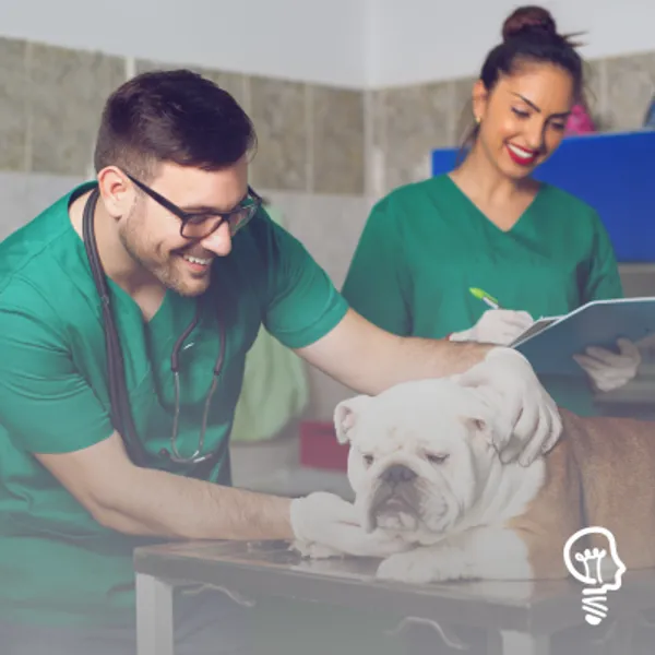 AUXILIAR VETERINÁRIO