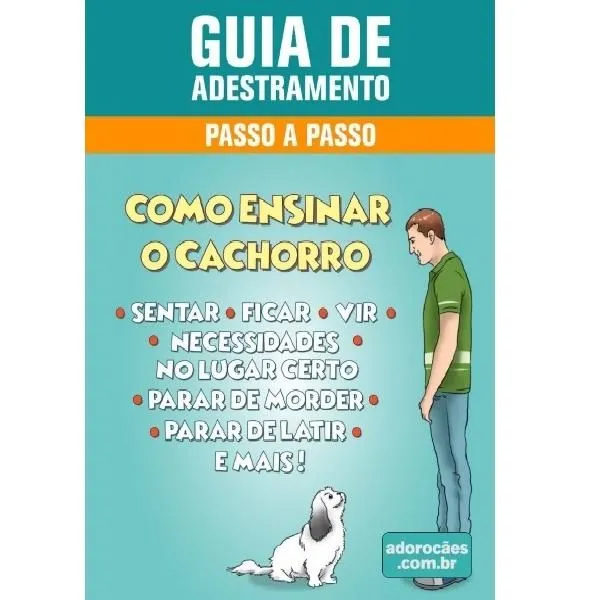 Guia de Adestramento de cães - Passo a Passo