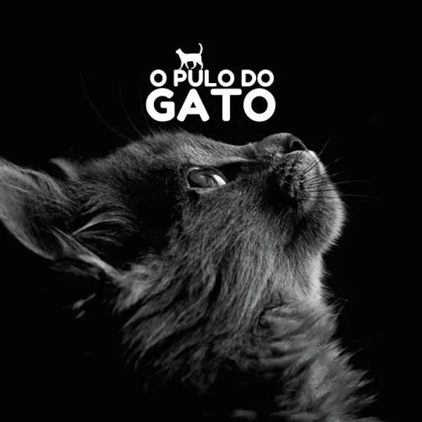 O Pulo do Gato — A Fórmula Mágica para Aprender Qualquer Idioma
